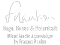 Bugs, Bones & Botanicals